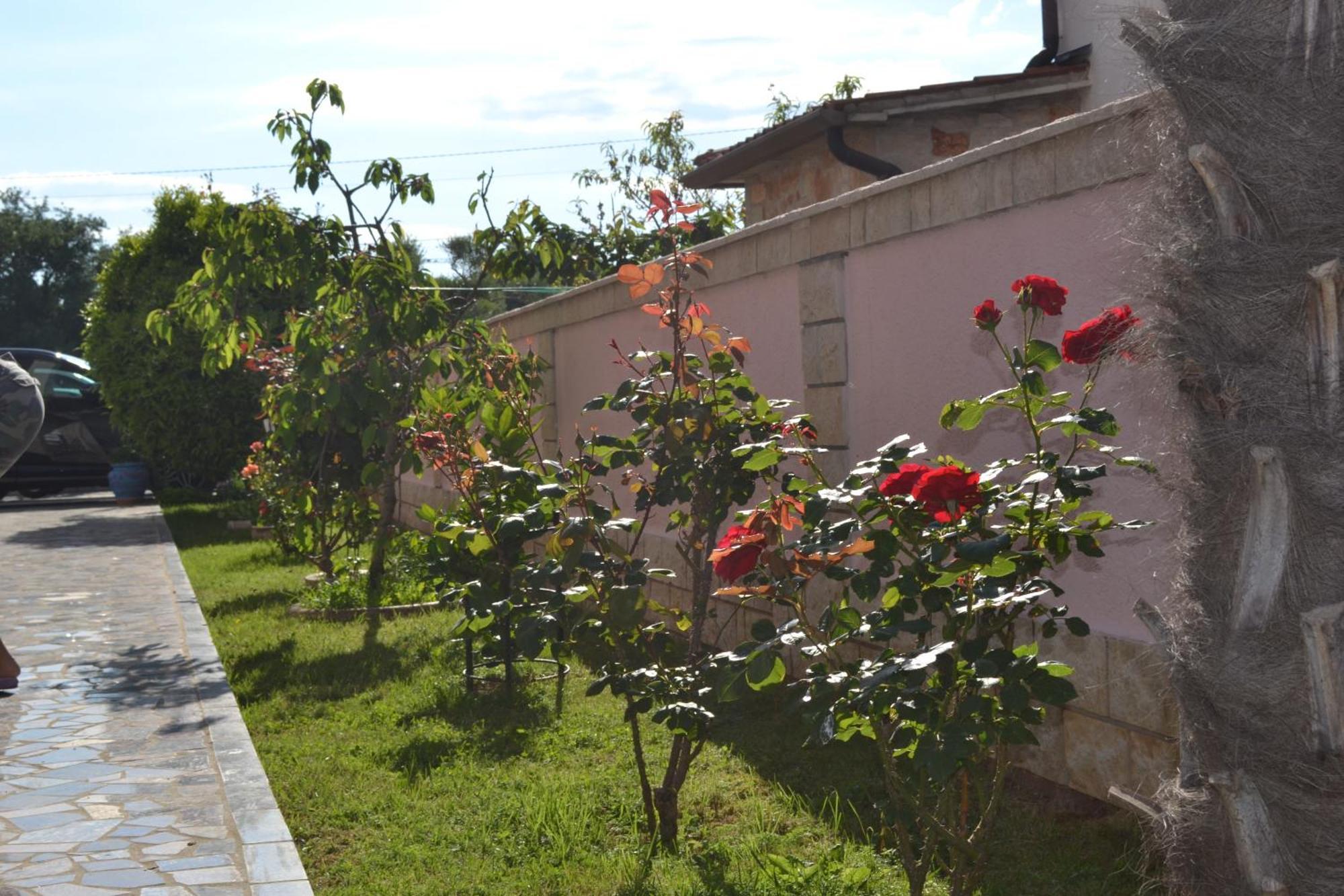 Villa Baldi -Apartmani Danny Tar-Vabriga Exterior photo