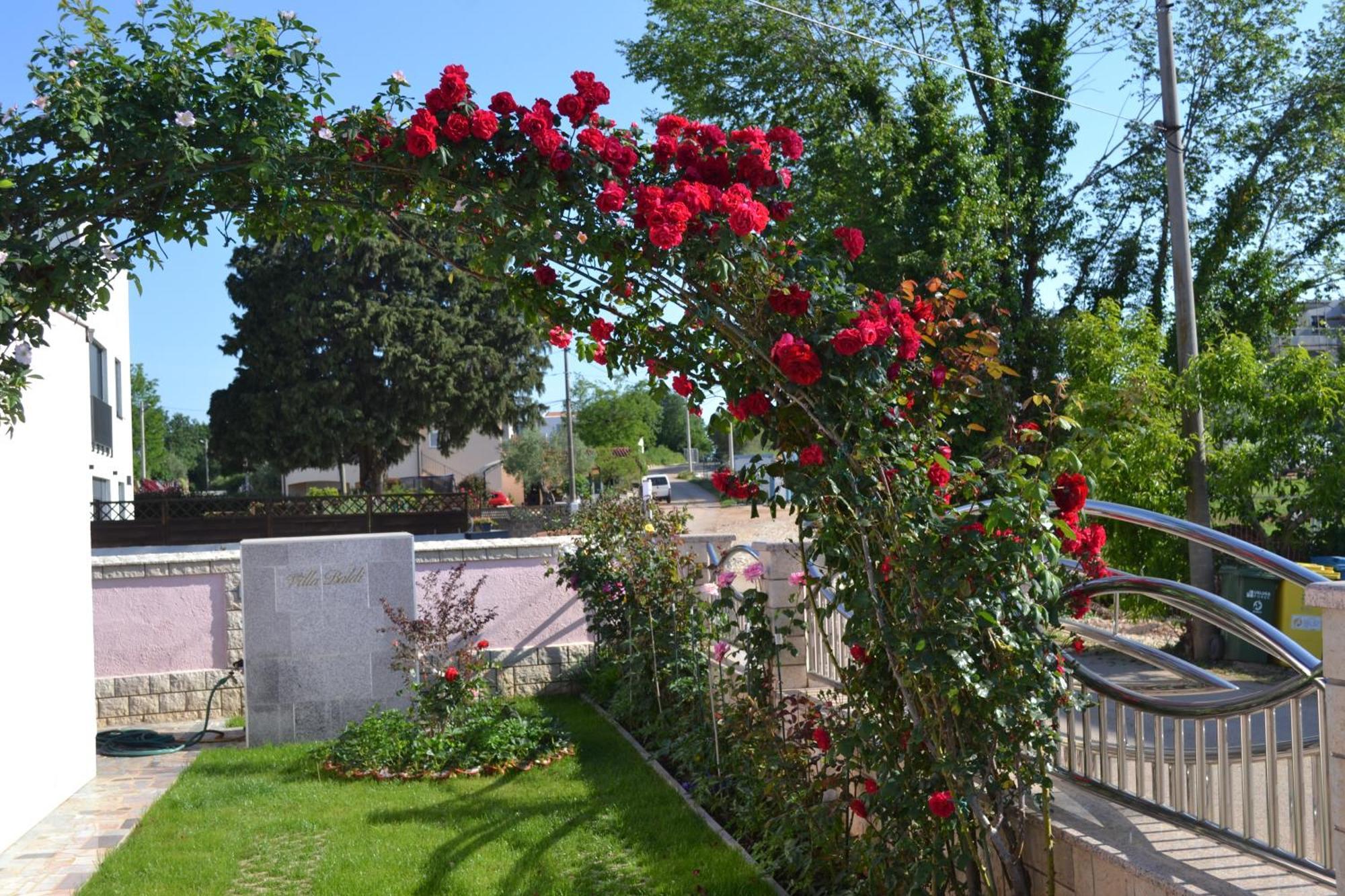 Villa Baldi -Apartmani Danny Tar-Vabriga Exterior photo